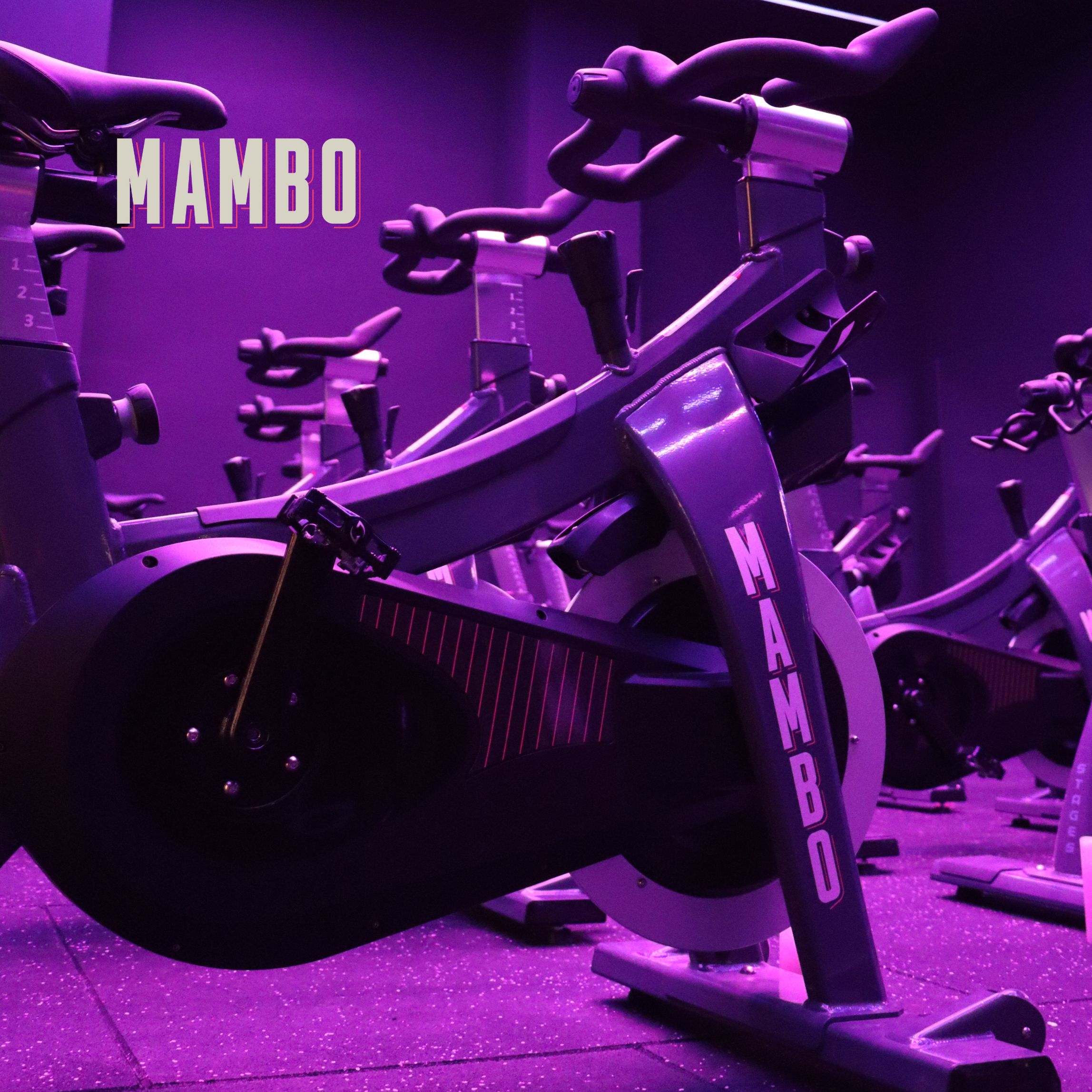 MAMBO